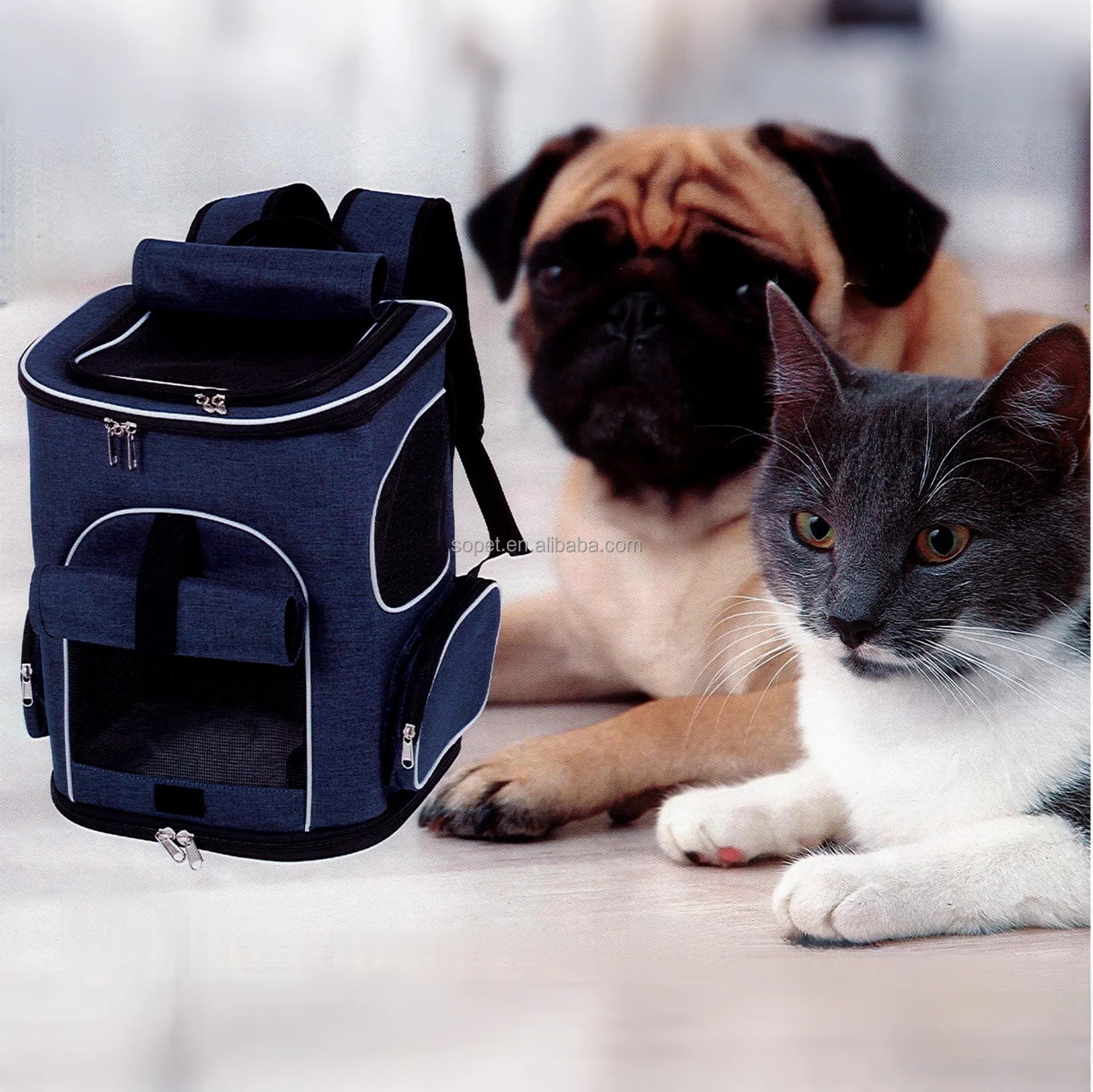 Outdoor Dog Cat Backpack Mesh Ventilation Pet Carrier for Hiking & Camping Travel Carrier Bag for Outdoor Use