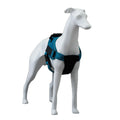 LT Hot Sale Fiberglass Dog Mannequin Pet Decorative Animal Dog Mannequins for Pet Clothes