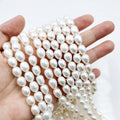 100% Natural Rice Shape Genuine Fresh Water Pearl 8mm 5A White Loose Wholesale Size Pearls for Jewelry DIY Bracelet Necklace