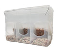 3 Holes Plastic Transparent Feeder Plastic Automatic Bird Pigeon Parrot Feeder