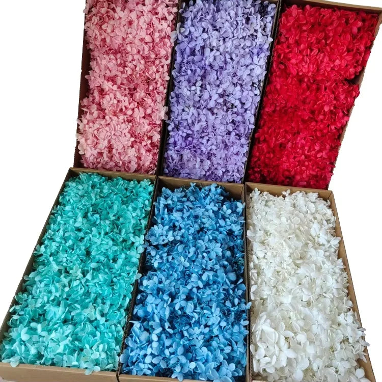 Factory Direct Supply Dried Flower Wood Hydrangea DIY Materials Preserved Hydrangea  in Boxes