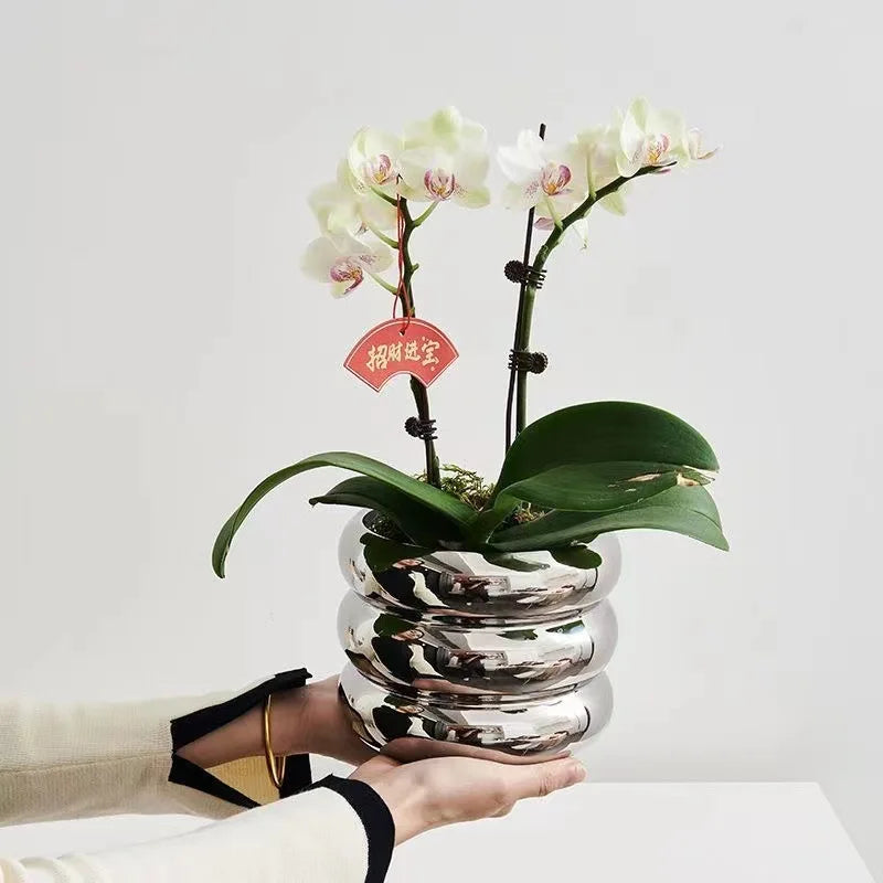Electroplated White Gold Silver Small Flowerpot Nordic Round Ceramic Vase Living Room Table Decoration