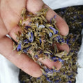 Ge Gen Hua Blue Whole Dried Pueraria Flower of Lobed Kudzuvine Flowers Bud for Sale