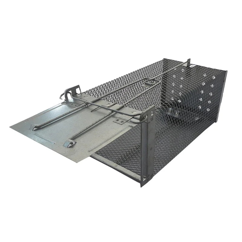 Humane Mesh Reusable Rat Mouse Trap Cage Live Catch Rodent Control with Single Door