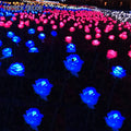 IP44 Waterproof LED Roses 12V Lighted Artificial Fabric and Plastic Party Decorations for Wedding and Valentine's Day Events