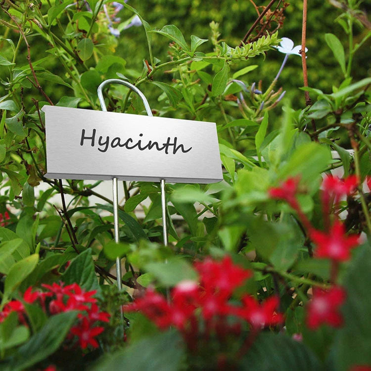 Stainless Steel Metal Sign Plate for Potted Plants Gardening Tools Marking Flower Pot Yard Premium Quality Stainless Steel Tool
