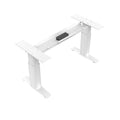 2 Stage Lifting Column Electric Sit Standing Desk with Stainless Steel Frame Extendable & Convertible for Modern Office
