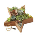 JUNJI Reclaimed Wood Succulent Planter Star-shaped Garden and Home Decor with Wooden Succulents Potted in Carton