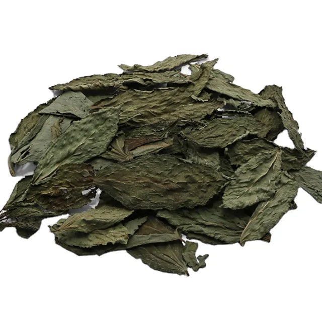 Loose Tossa Jute Mallow Dry Leaf Corchorus Olitorius Molokhia Leaves Dried for Herb