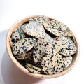 HZ Wholesale Natural Dalmatian Jasper Guitar Picks Healing Stone