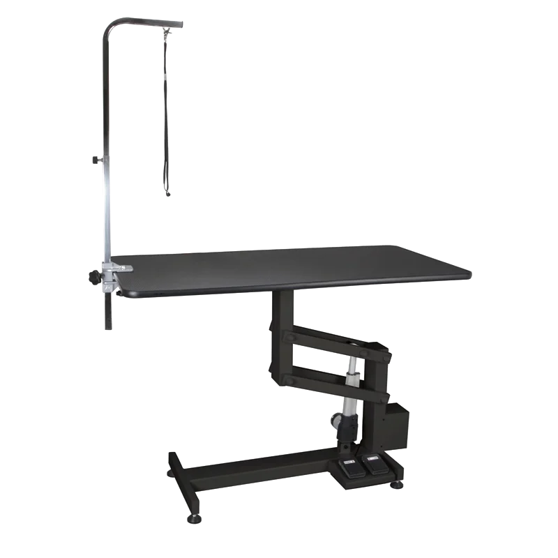Z Lifting PET Grooming Table FT-802EB Products Classic Simple Stainless Steel Electric Lifting Tablepet House Z-style Frame