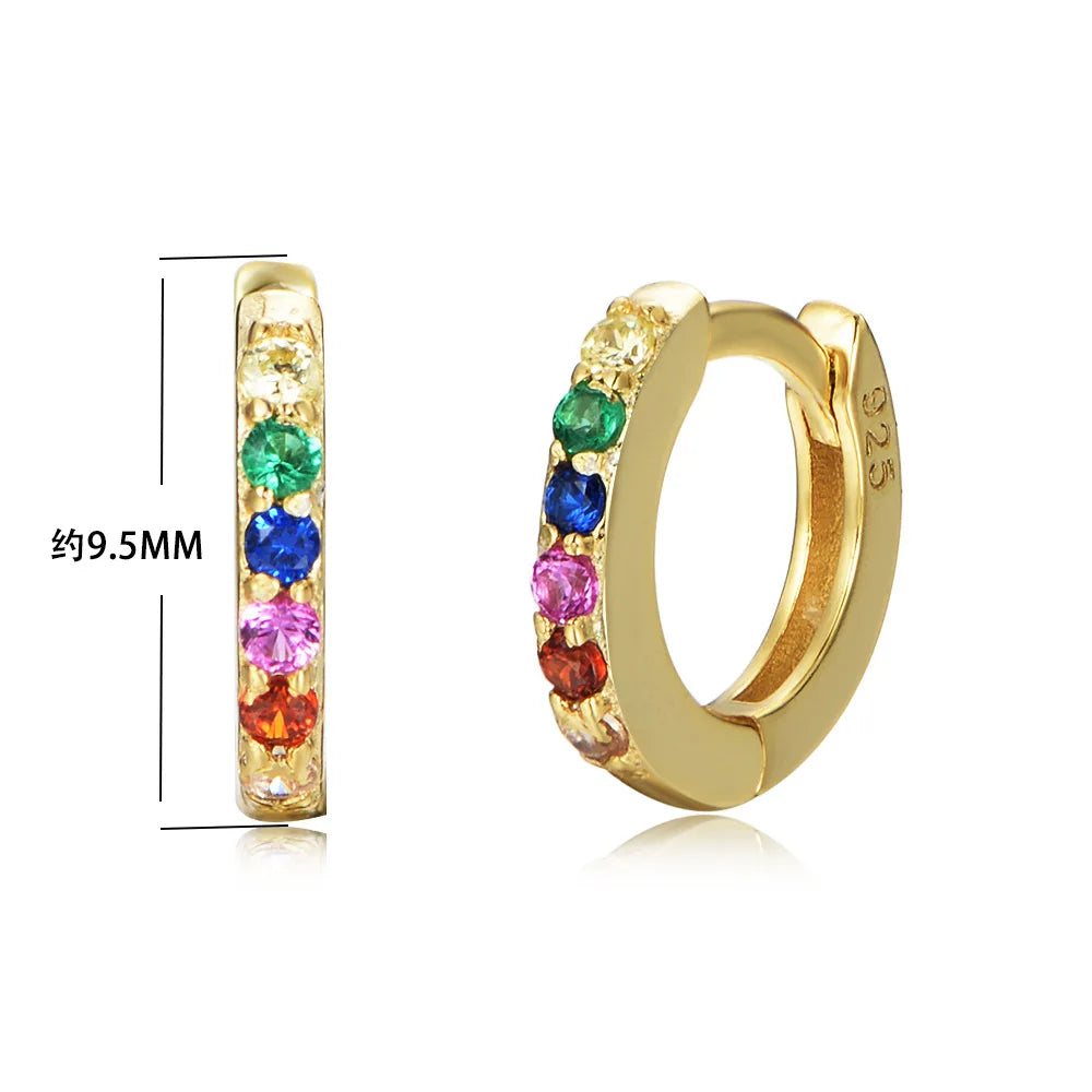 Trend Round Hoop Zircon Earrings S925 Silver Gold Silver Plated Colorful Zircon Stud Earring