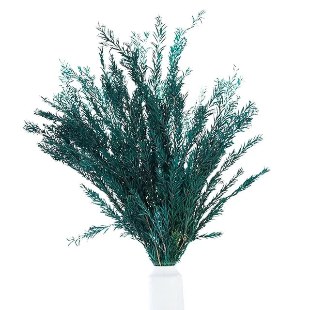 Natural Fresh Display Dried Flowers BunchEternal Preserved Melaleuca Bracteata for Wedding Party Home Decoration