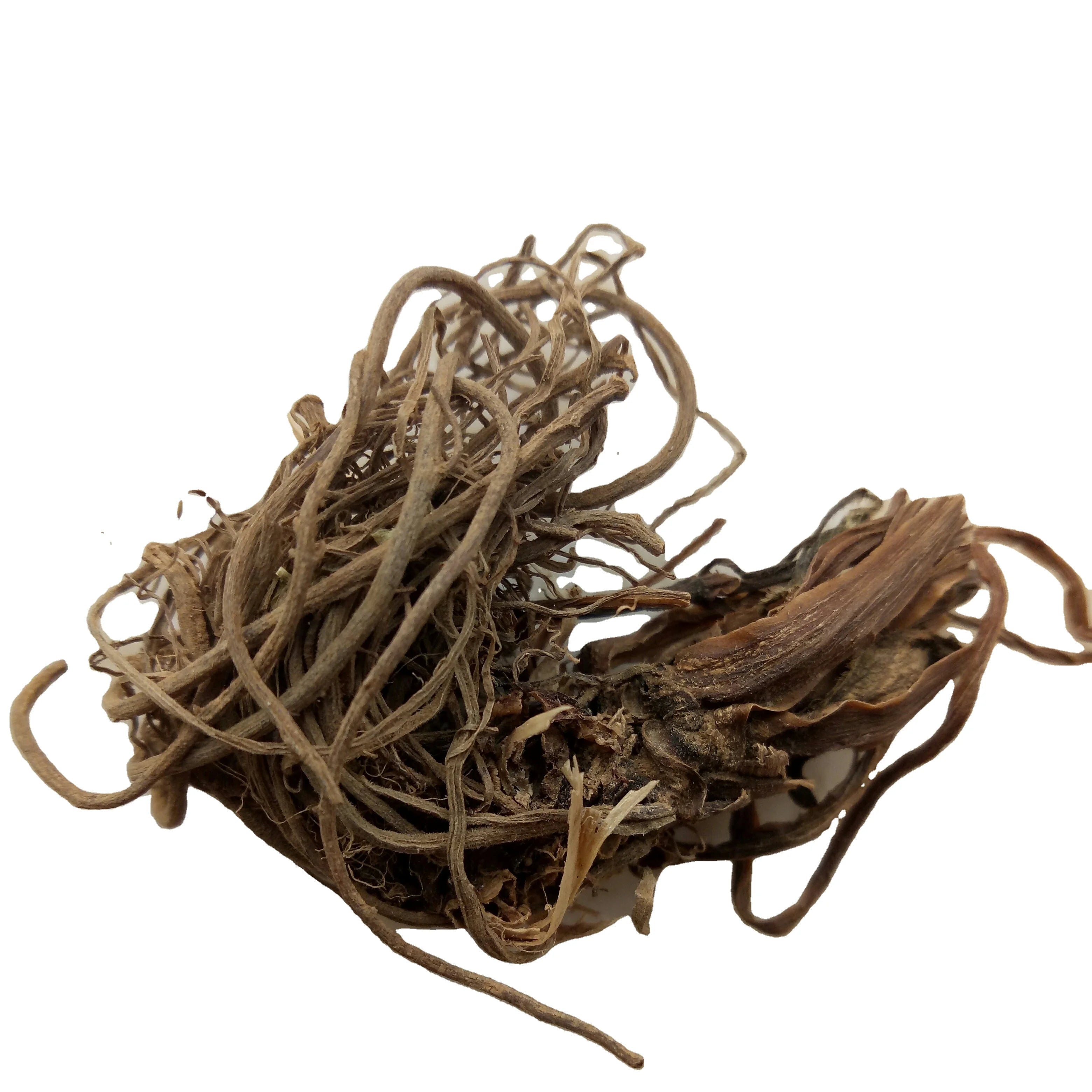 Chinese New Harvested Raw Dried Radix Valeriana Officinalis Whole Valerian Root for Herb