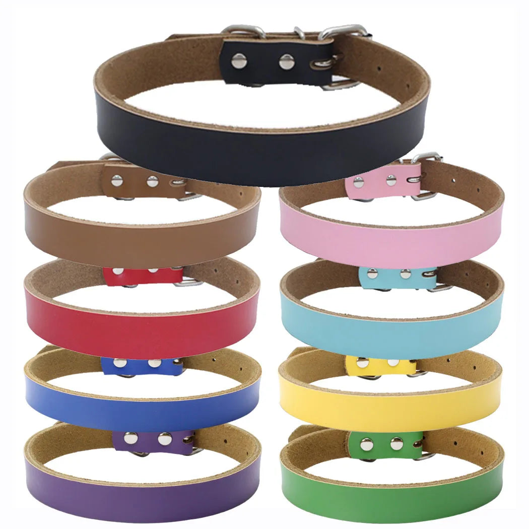 Unique Design Other Pet Collars Leashes & Harnesses Cork Martingale Leather Dog Collar Charm Heavy Duty Leather Dog Collars