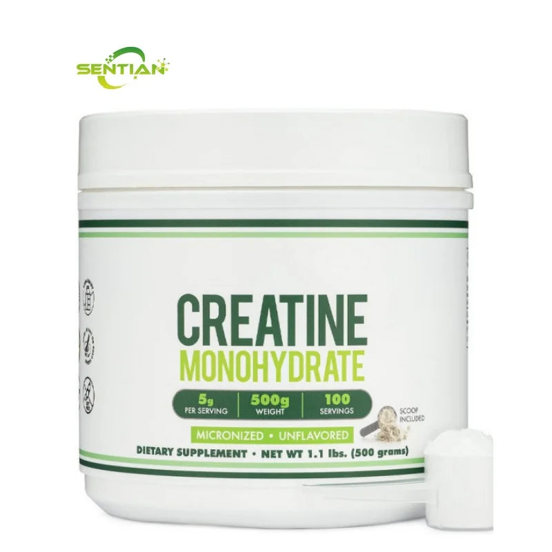 Creatine Monohydrate Powder 1.1 Lbs(500g) AMZ TK Popular Unflavored Micronized Pure Creatine Powder