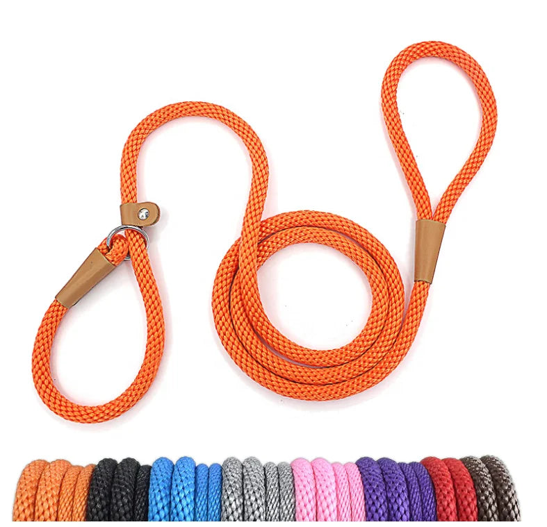 Solid Pattern 5m Modern Dog Leash Slip Lead With Snap Hook Braided Rope Traffic Training Pet Walking Lead Ribbons Decoration