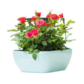 BRICE Modern Plastic Square Tablescape Succulent Flower Pot Planter Moss Bowl with Water Level Indicator