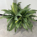 Artificial Boston Fern Grass Green Plastic Wall Plants for Home Wedding Decor Christmas Thanksgiving Chinese New Year Easter