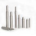 Smooth Body Stainless Steel Spring Plunger Press Fit with Spring Loaded Positioning Carton Packing