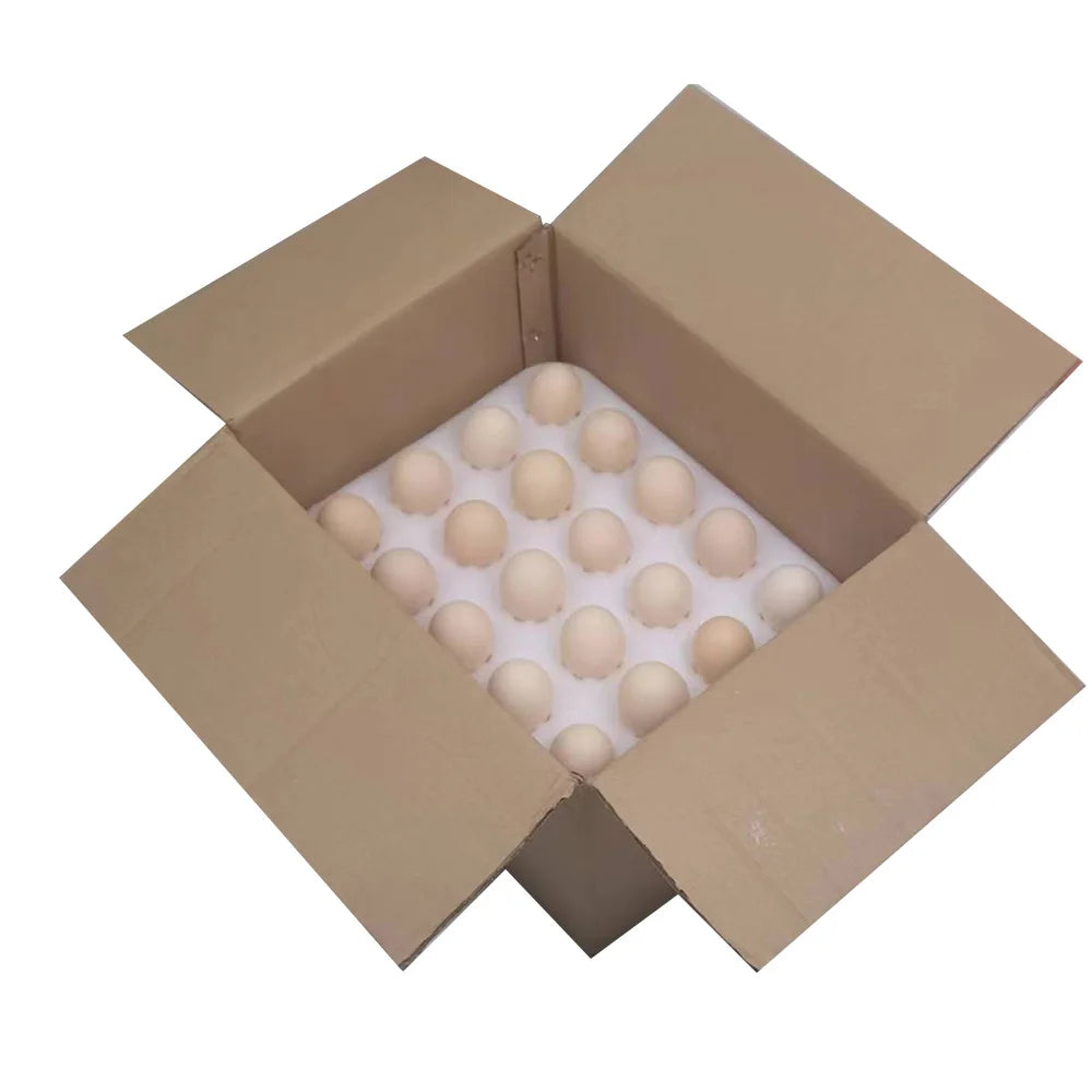 Hot New Product Egg on Tray With Best Quality Egg Packing Tray