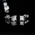 Abiding Jewelry Wholesale Fine Jewelry 925 Sterling Silver Moissanite Diamond Studs Earrings