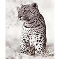 Adults DIY Painting Numbers Kit Leopard Animal Picture Starter Traditional Chinese Style 40x50cm/16x20inch Landscape Frame Gift