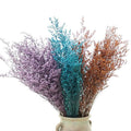 Wholesale Dried Pressed Flowers Lover Grass Caspia Dried Limonium for Flower Arrangement and Decoration
