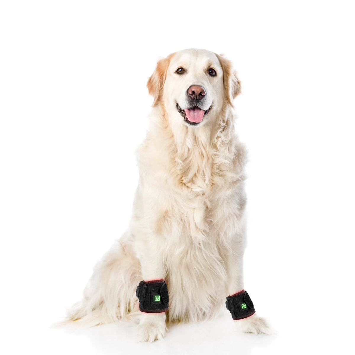 Portable Phototherapy Near Infrared Light Therapy Device hock hoof boot Equipment for Horse Pain Relief