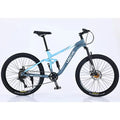 Carbon Steel Frame Fashion Full Suspension Bicycle Bicicletas 26 27.5 29 Inch Mountain Bike Racing Bike
