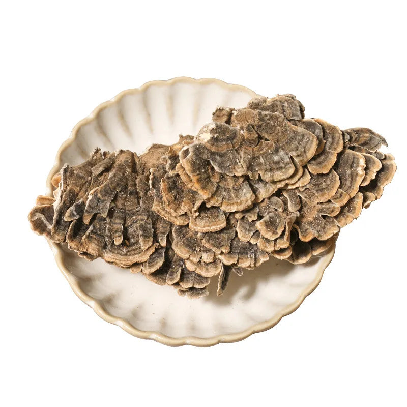 Chinese Trametes Mushrooms Wild Whole Trametes Versicolor Fungus for Sale