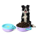 2024 Portable Stainless Steel Dog Bowl Feeder Portable Outdoor Walking Hiking Pet Feeder 2 in 1 Design with Automatic Feature