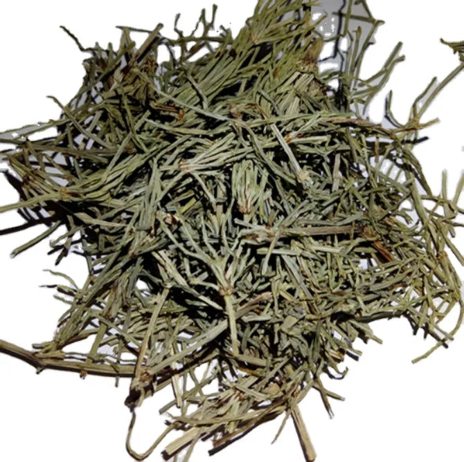 Plant Herb Loose Equisetum Hyemale Green Wild Dried Raw Scouring Rush Rough Horsetail Cuts for Sale