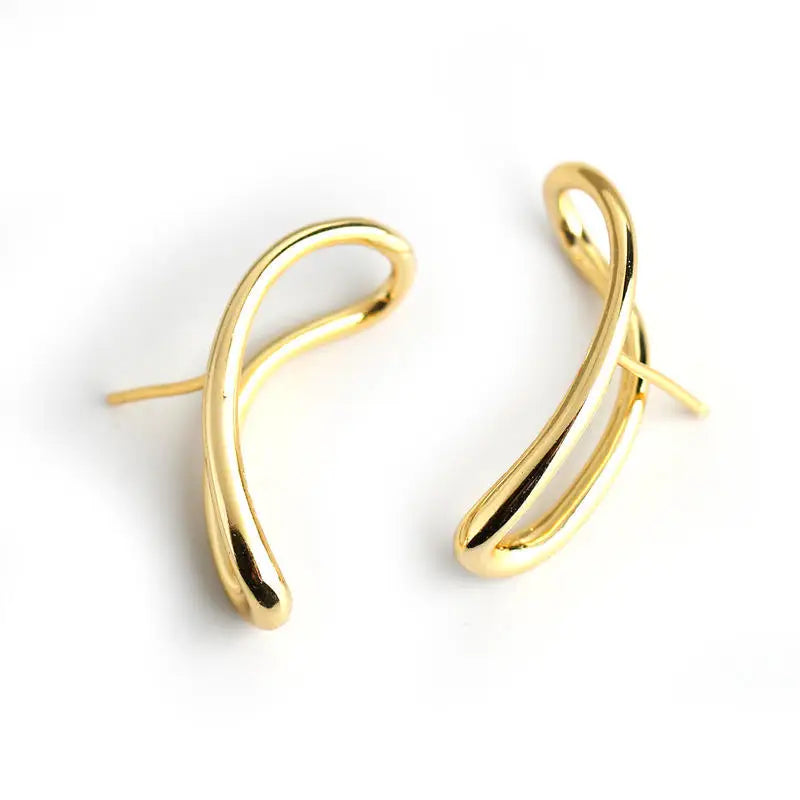 Wholesale S925 Sterling Silver Earrings Personality Geometric Irregular Line Earrings for Women