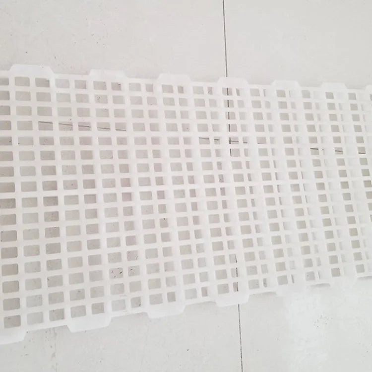 New Condition PP Material White Plastic Slat Floor for Poultry Broiler Farm Chicken