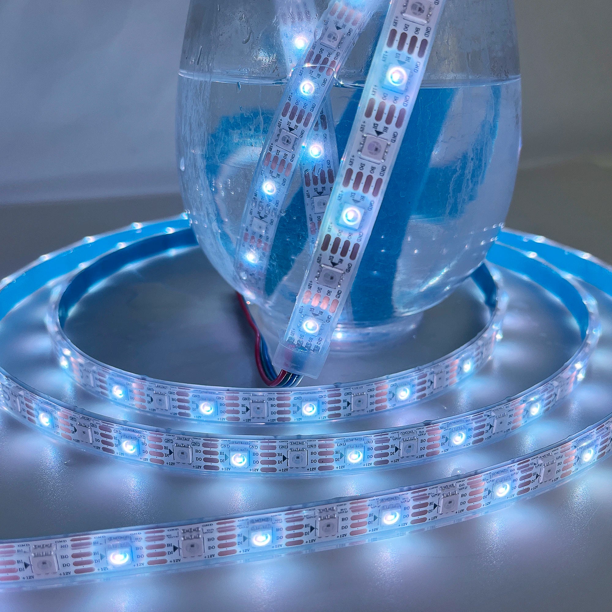 Tira Led Flex IP68 Landscape Digital 12V 5050 WS2815 WS2813 Individually Addressable Magic Color RGB LED Strip Light
