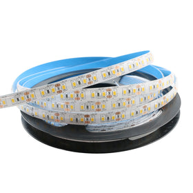 High Lumen 100lm SMD 2835 120leds White Warm White Cold White Led Strip Light 24V 12W Tape 3000K 4000K 6000K