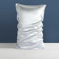 Silver Ion Infused 100% Silk Pillowcase Mulberry Silk Silver Ion Infused Pillow case