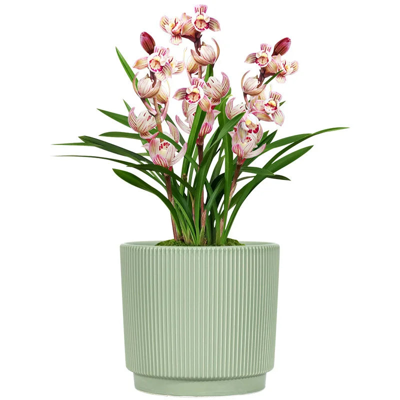 Indoor Self Watering Home Decorative Ceramic Fiberglass Artificial Big Simulated Bulk Garden Pot and Flower Pots Planters