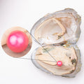 Love Wish Pearl Party Gift Vacuum-packed 7-8mm Aaaaa+ Quality Loose Freshwater Round Cultured Freshwater Pearl Oyster