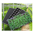 Factory Direct Customized Poly Grow Nursery Trays  50 72 105 128 200 Sizes Garden Seedling Growing Trays Lids