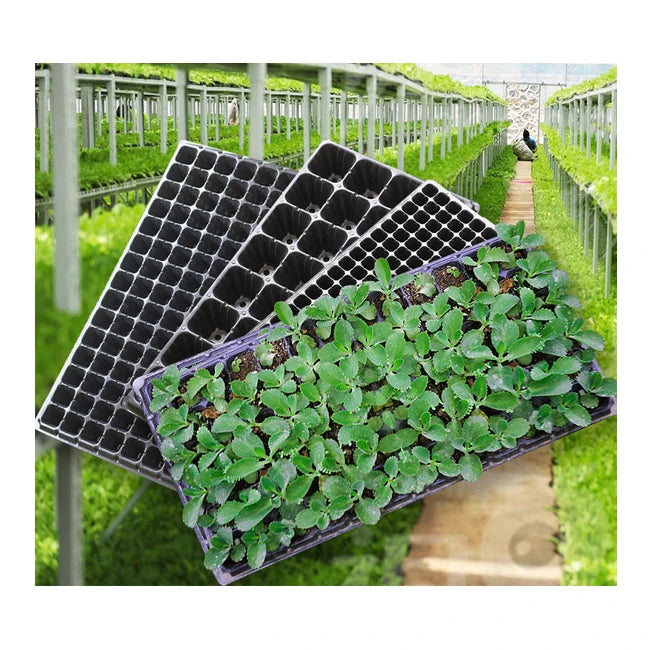 Factory Direct Customized Poly Grow Nursery Trays  50 72 105 128 200 Sizes Garden Seedling Growing Trays Lids