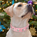 PU Leather Rhinestone Flower Pattern Studded Dog Collar Adjustable Bling Puppy Collar PU Leather Crystal Pet Collars
