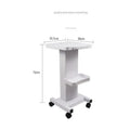 Salon Working Assembled Trolley Hot Sale Silent Universal Wheel Beauty Tool Trolley Working Beauty