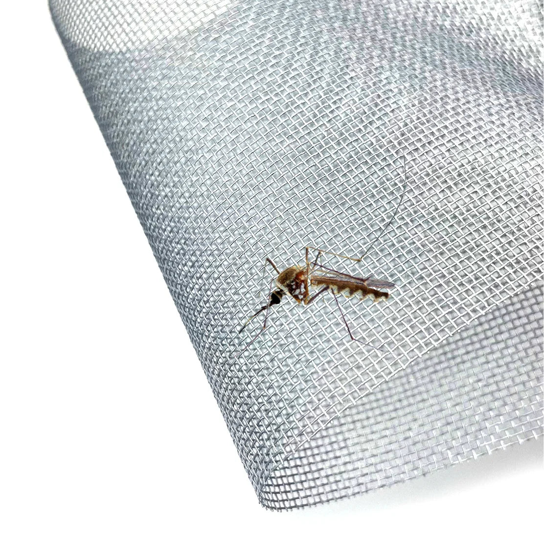 Modern Design Huihuang Brand Fiberglass Plain Weave 18x16 Mesh Anti-Mosquito Window Screen with 5-Year Warranty