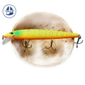 Hard ABS Pencil Lure Floating Carp Fishing Tackle Pike Target Species Minnow Iscas Artificiais for Lake Saltwater Fish Pesca