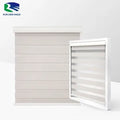 RunChen Cordless Zebra Shade Zebra Blind for Window Privacy Light Filtering Shades