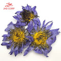 Factory Wholesale Herbal Tea Dried Whole Bulk Blue Lotus Flower Tea