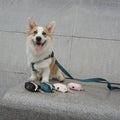 Factory Wholesale Best Selling Washable Velvet Dog Waste Bags Poop Bag Dispenser Pet Supplies Poo Bag Holder Velvet