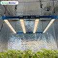 3x3ft/80x80cm Tent Samsung LM301H EVO Osr 660nm 730nm 320W KingBrite Led Grow Light